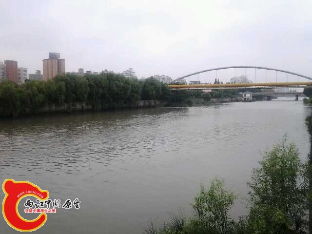 20140705_094727.jpg