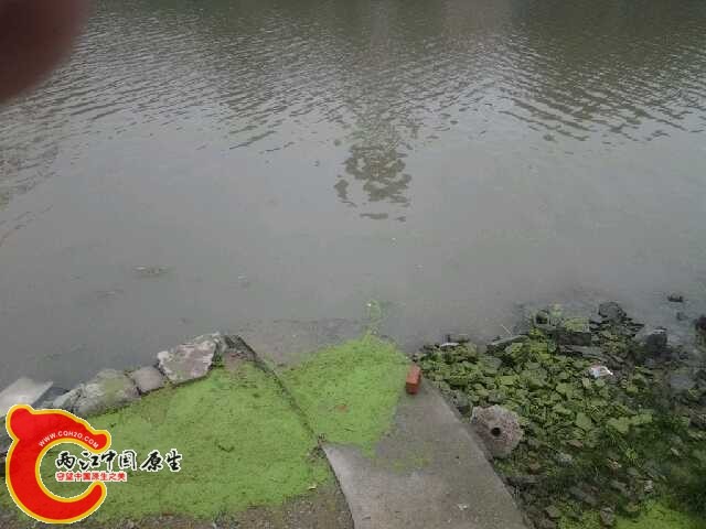20140705_094736.jpg