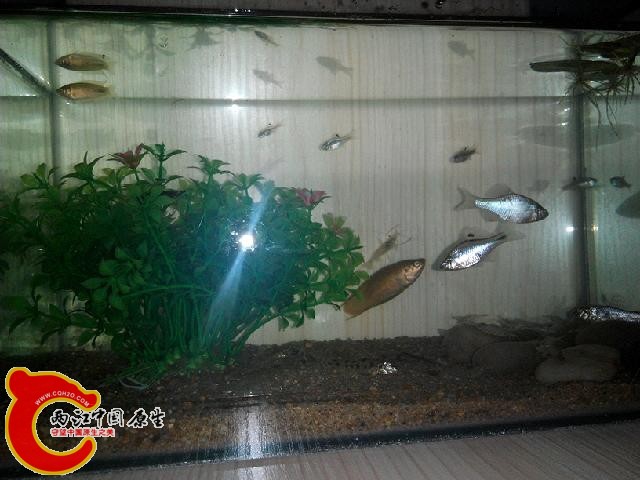 IMG_20140705_174644.jpg