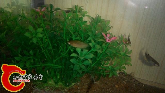 IMG_20140706_123723.jpg