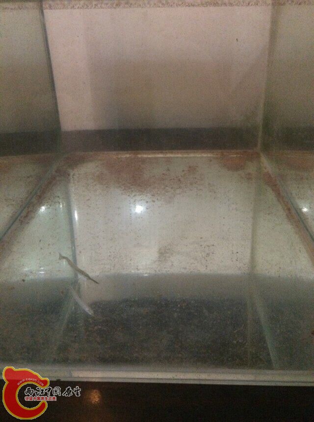 QQ图片20140707094004.jpg