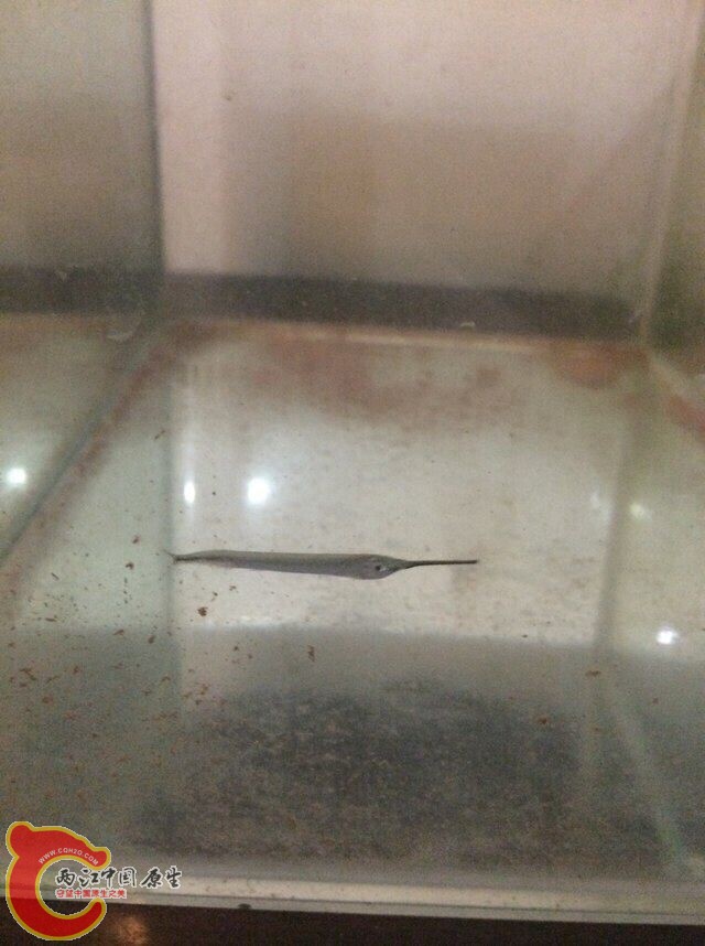 QQ图片20140707094010.jpg