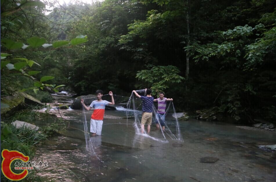 QQ图片20140707174918.jpg