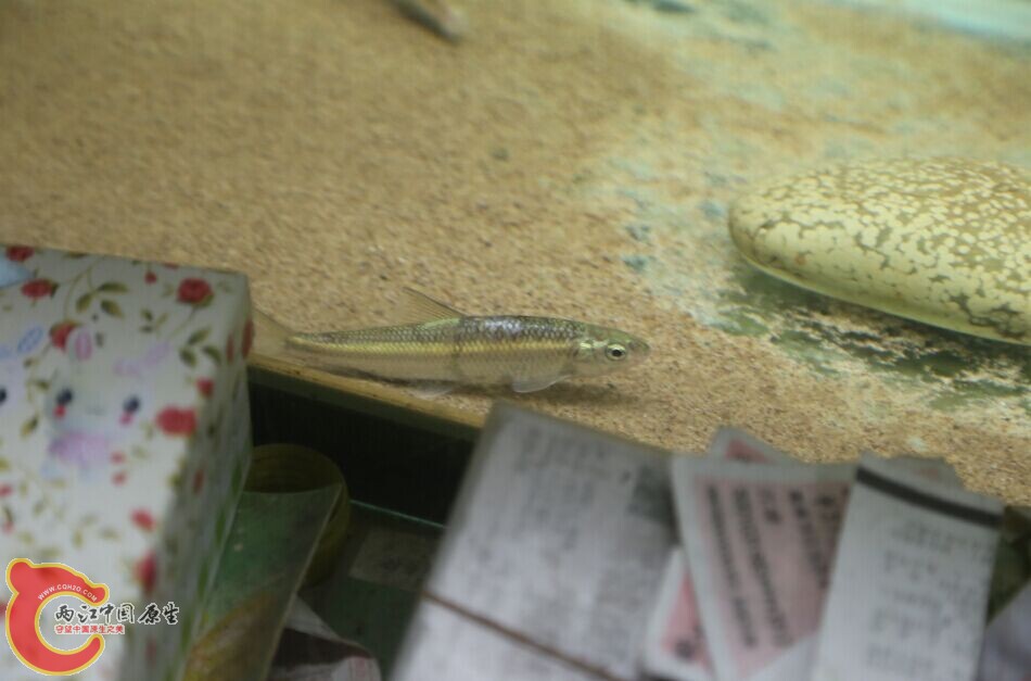 QQ图片20140707174946.jpg