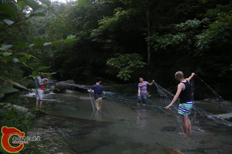 QQ图片20140707174923.jpg