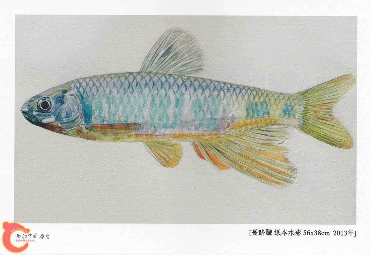 谁的现实——张国刚 钟博双个展 (3).jpg