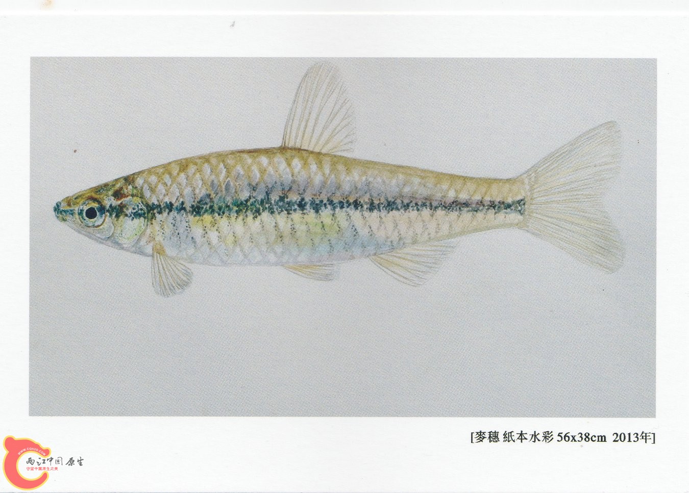 谁的现实——张国刚 钟博双个展 (4).jpg