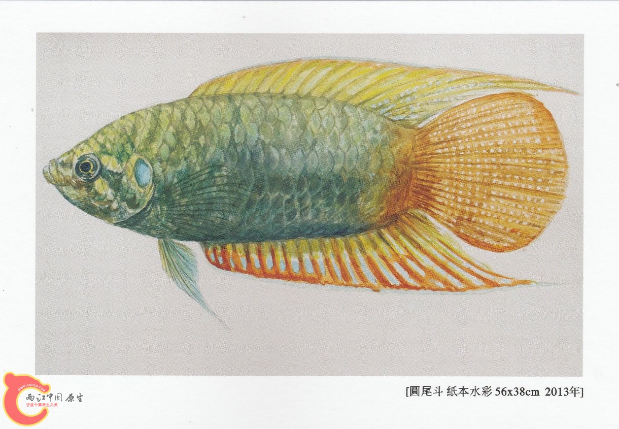 谁的现实——张国刚 钟博双个展 (7).jpg