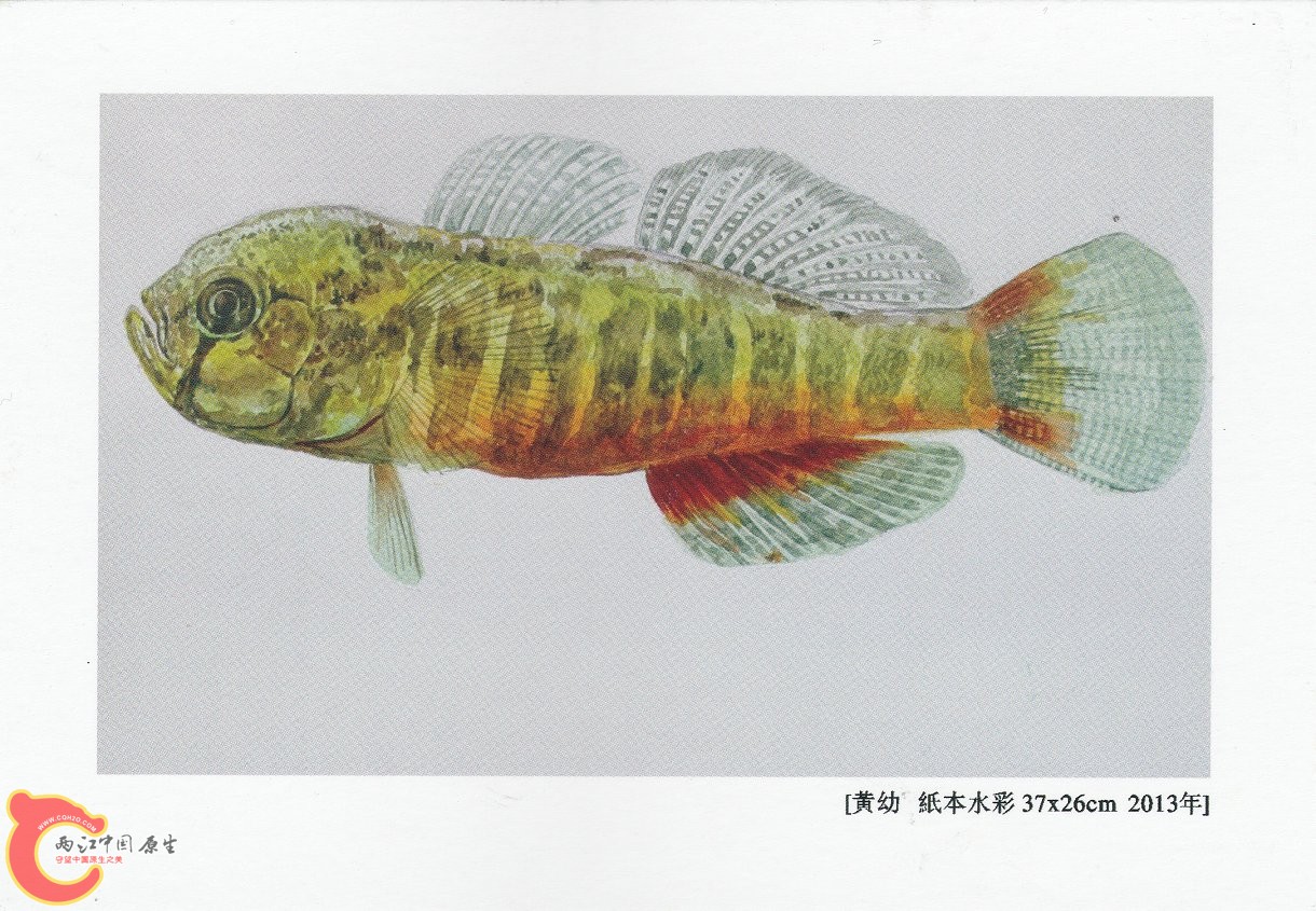 谁的现实——张国刚 钟博双个展 (8).jpg