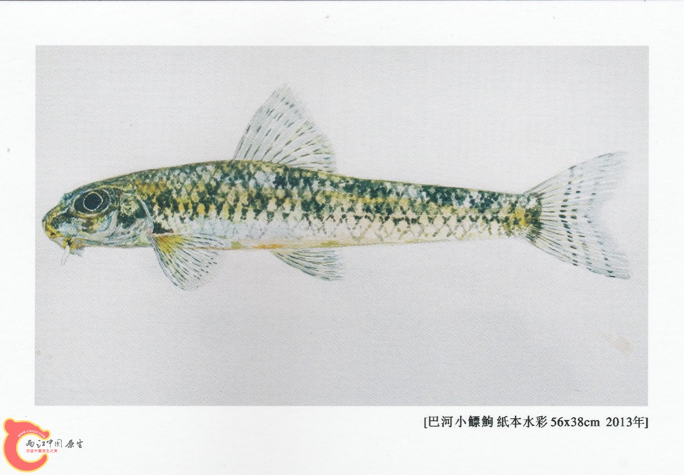 谁的现实——张国刚 钟博双个展 (9).jpg