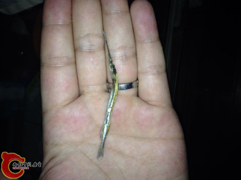 QQ图片20140711093342.jpg
