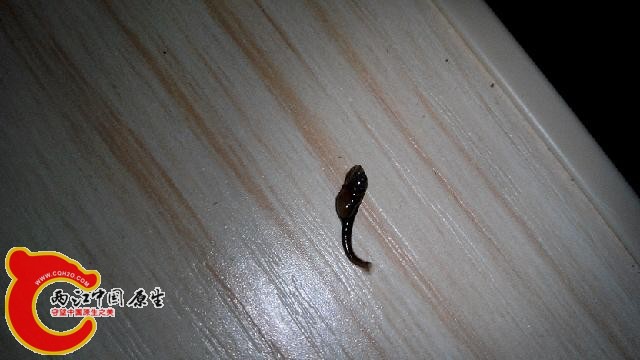 IMG_20140711_201536.jpg