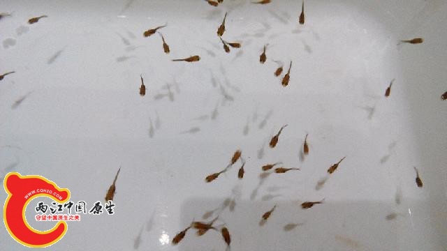 IMG_20140711_214004.jpg