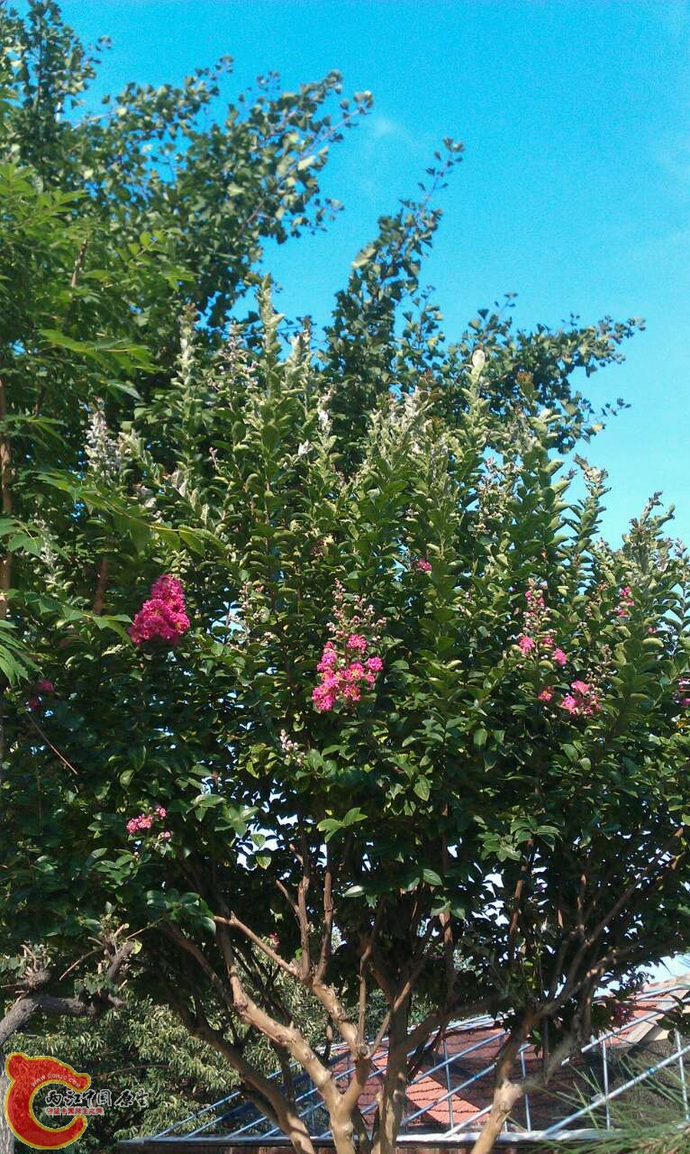 26390_1554703.jpg