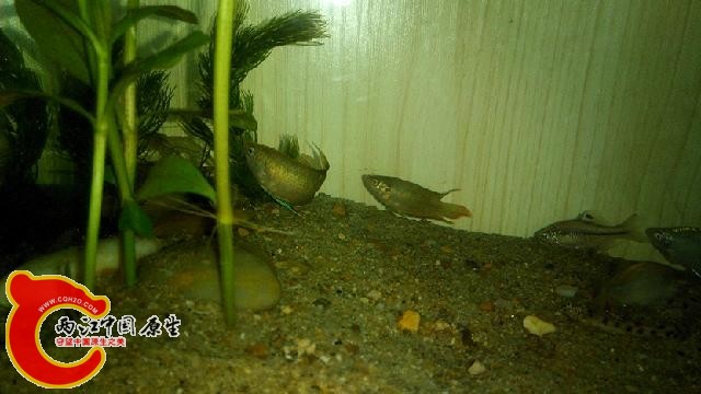 IMG_20140713_184055.jpg