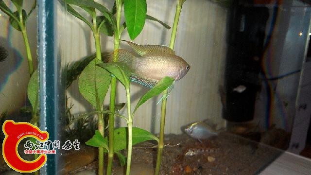 IMG_20140713_192830.jpg