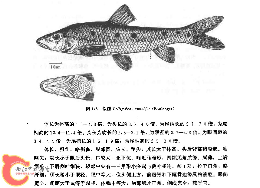 未命名.jpg