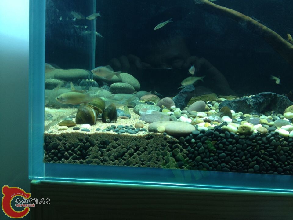 QQ图片20140718110037.jpg