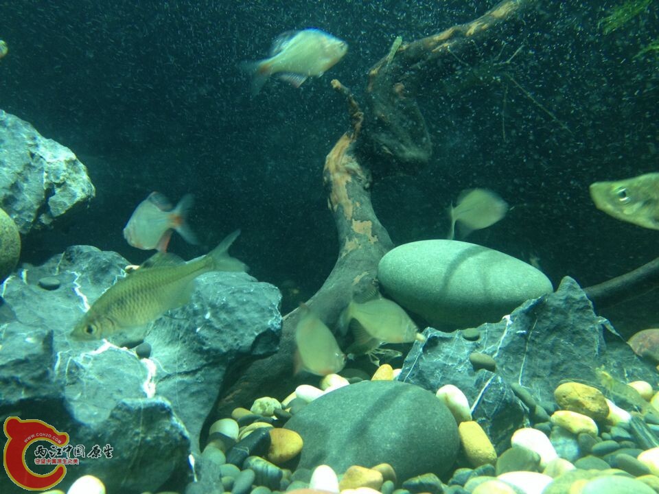 QQ图片20140718110142.jpg