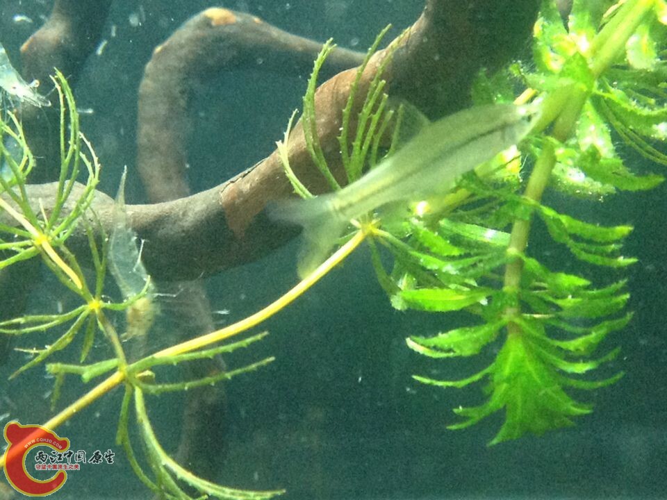 QQ图片20140718110354.jpg