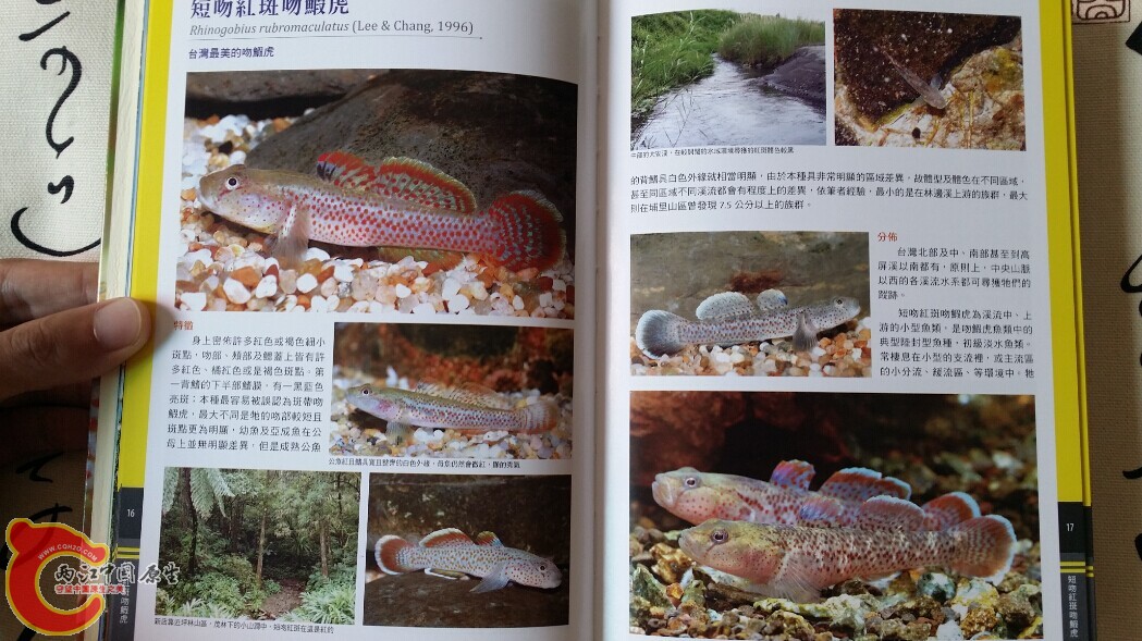 QQ图片20140719202641.jpg