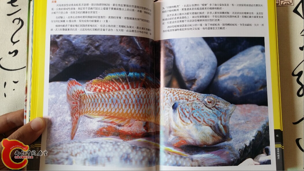 QQ图片20140719202716.jpg