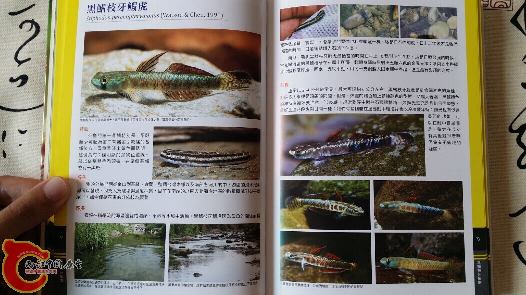 QQ图片20140719202739.jpg