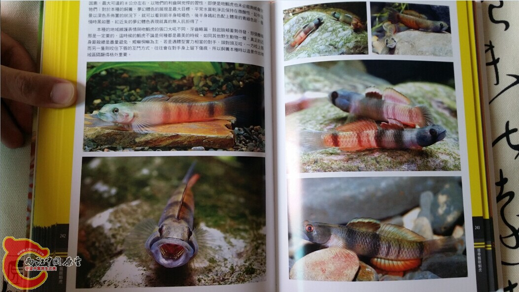 QQ图片20140719202833.jpg