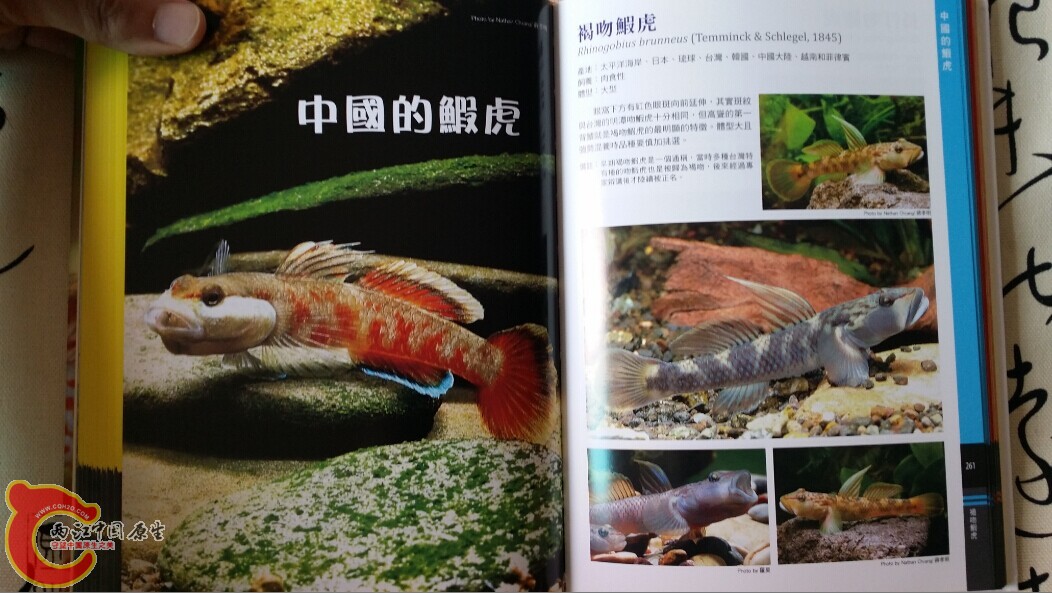 QQ图片20140719202850.jpg