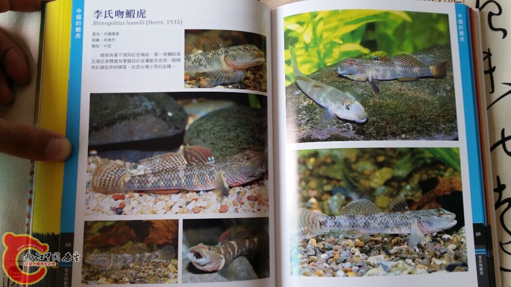 QQ图片20140719202916.jpg