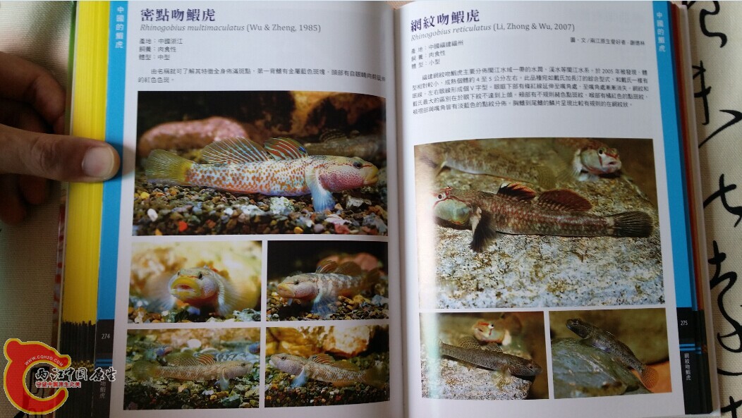 QQ图片20140719202930.jpg