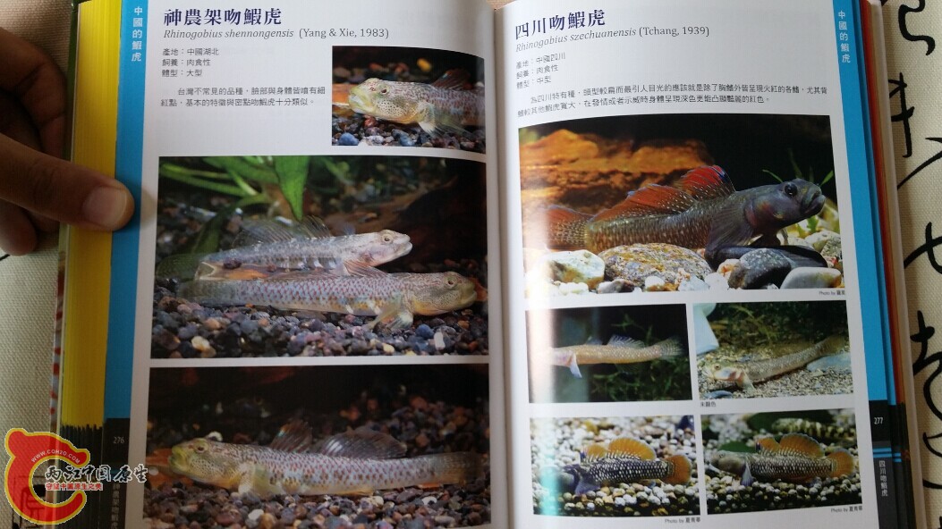 QQ图片20140719202946.jpg