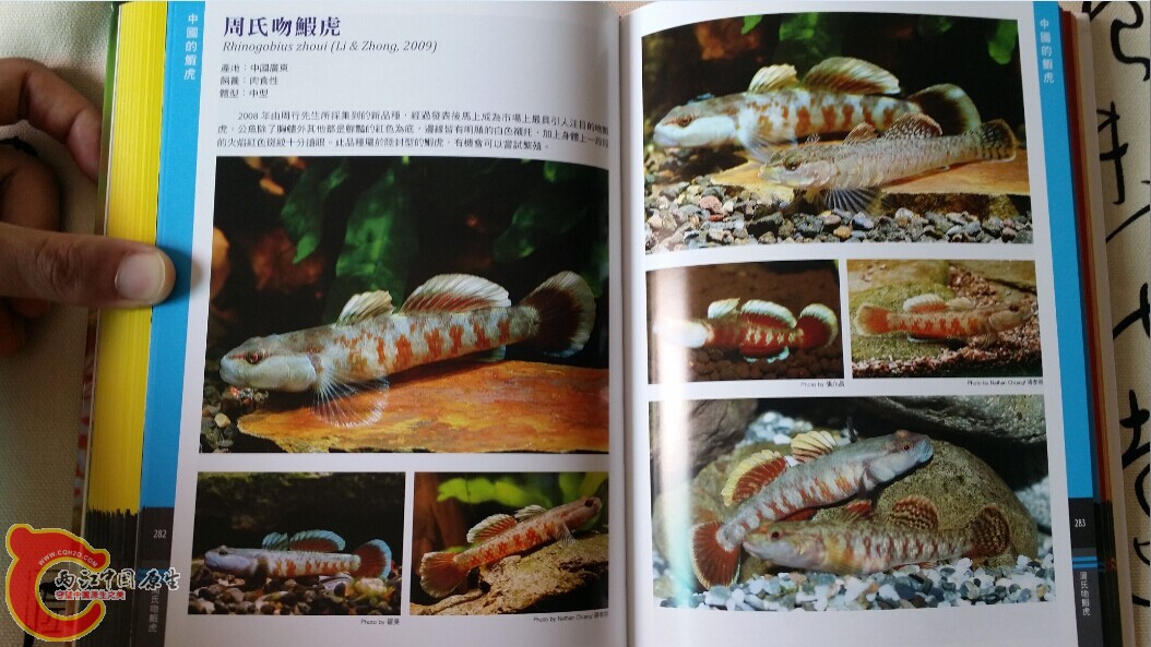 QQ图片20140719202959.jpg