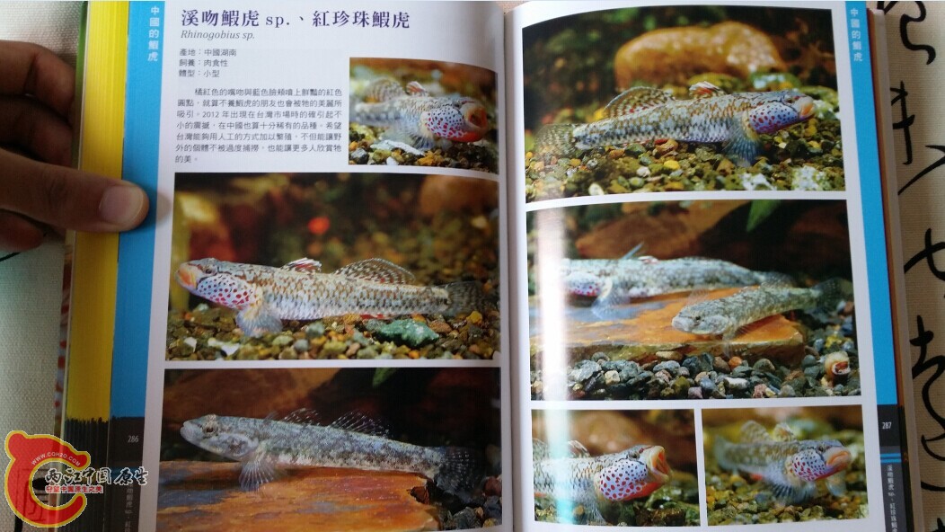 QQ图片20140719203013.jpg
