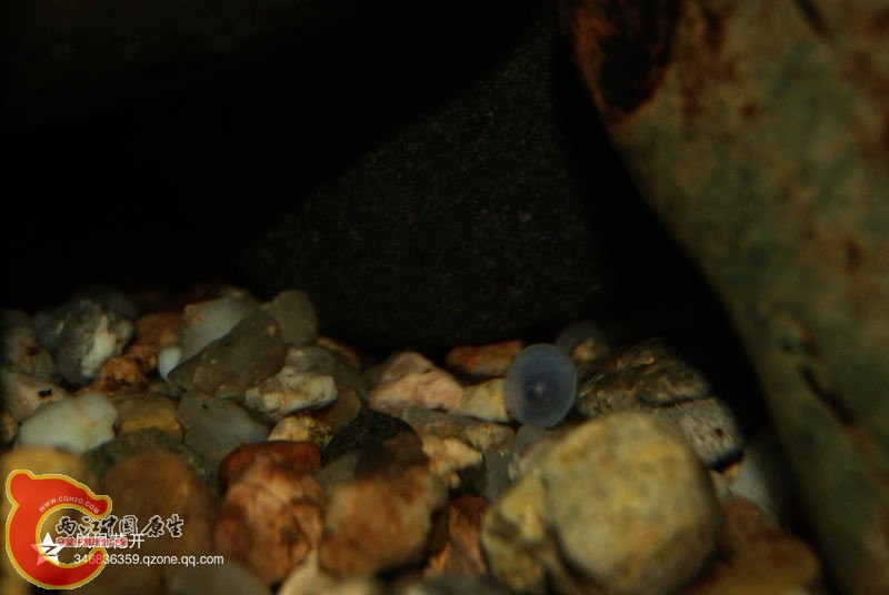 2014011502.jpg