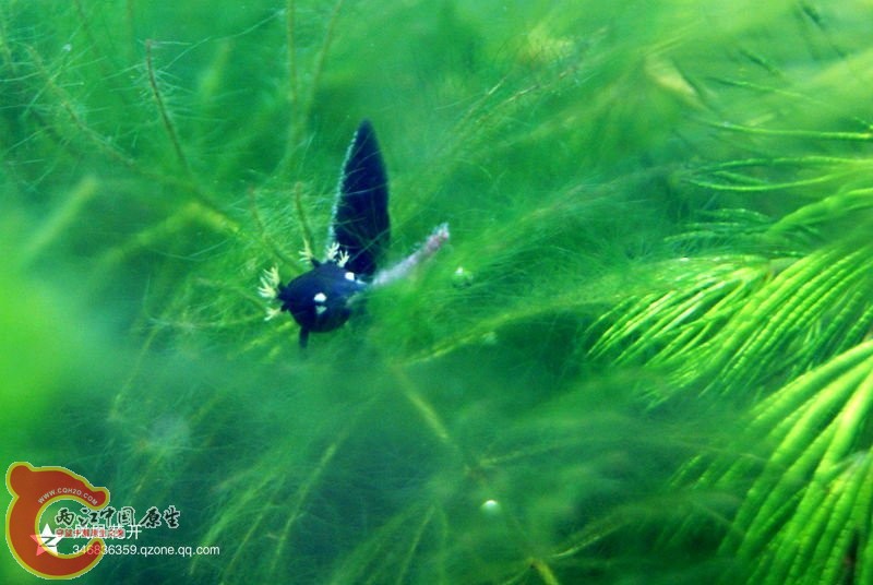 2014031701.jpg