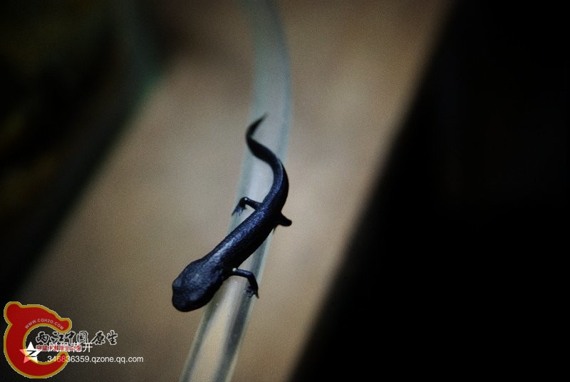 2014051602.jpg