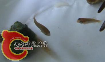 无标题1.png