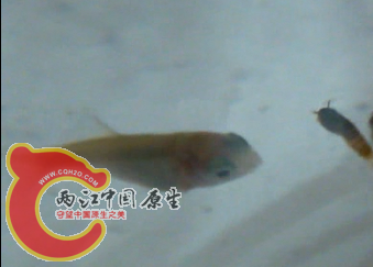 无标题3.png