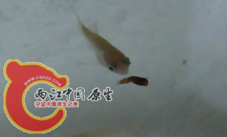无标题4.png