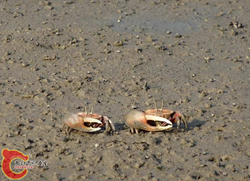 3.JPG