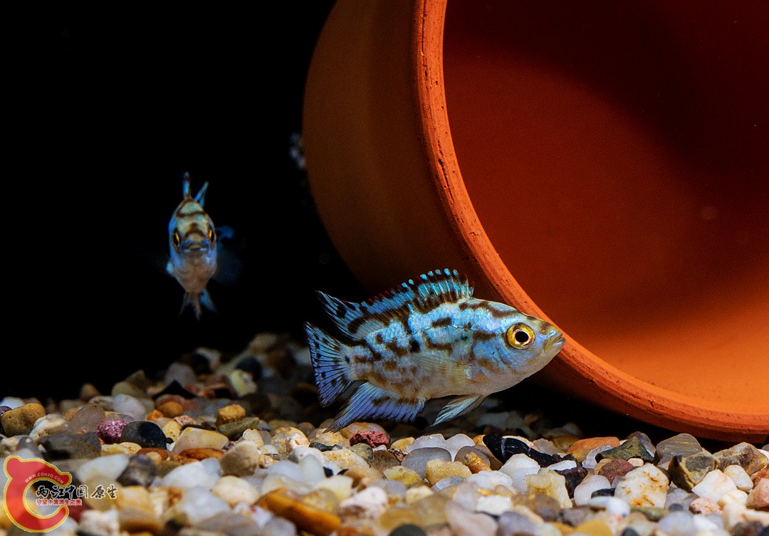 DSC04389_副本.jpg