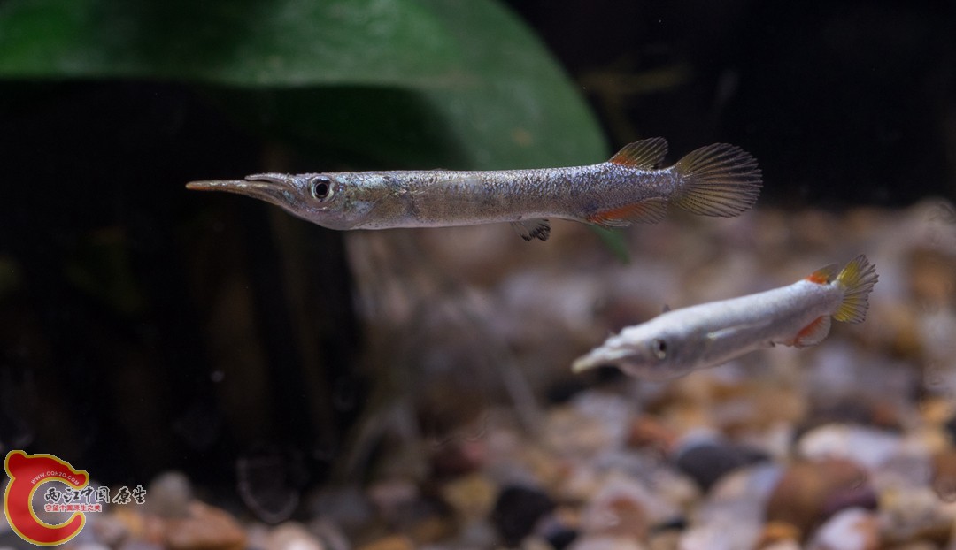 DSC04436_副本.jpg