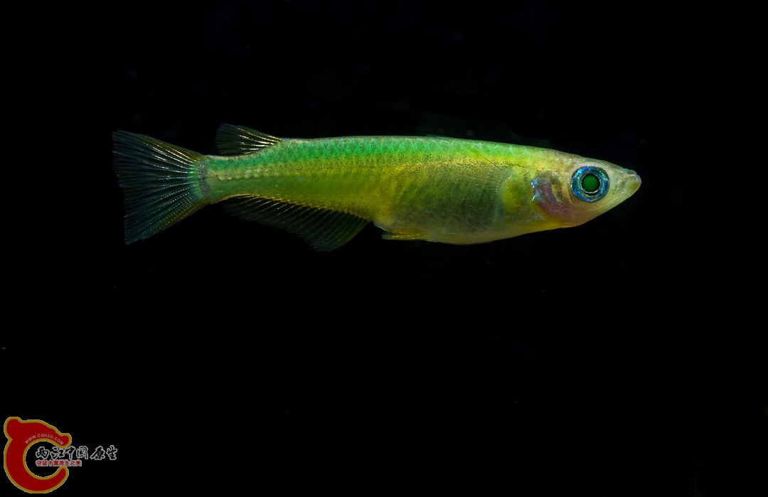 DSC04497_副本.jpg