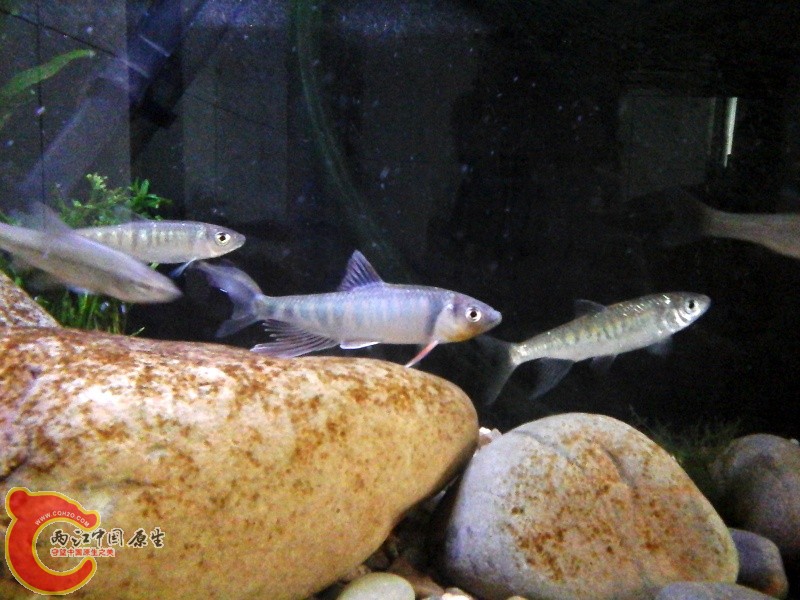 20140728_133139.jpg