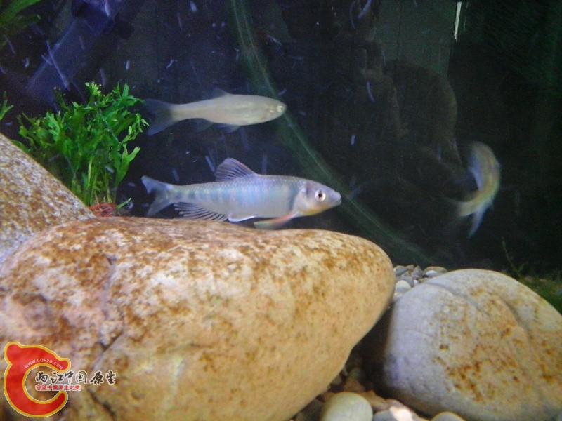 20140728_133151.jpg