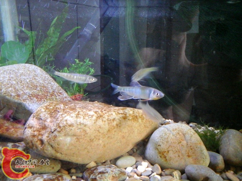 20140728_133325.jpg