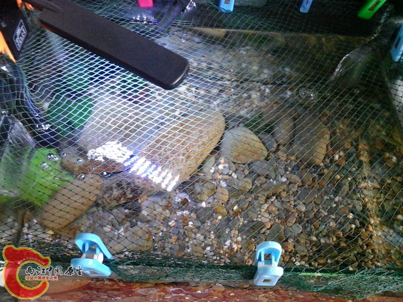 20140728_133335.jpg
