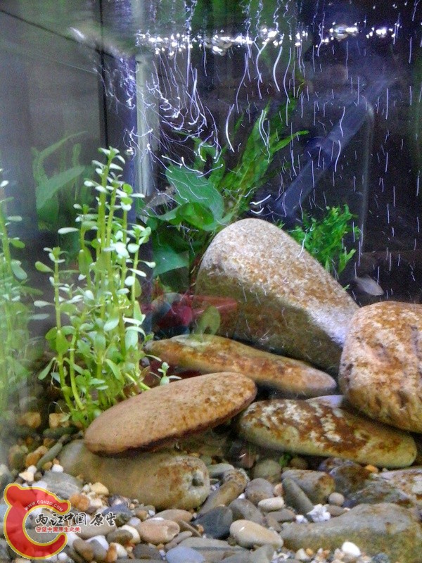 20140728_133409.jpg