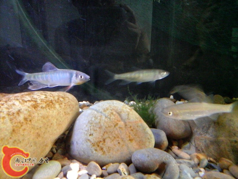 20140728_133432.jpg